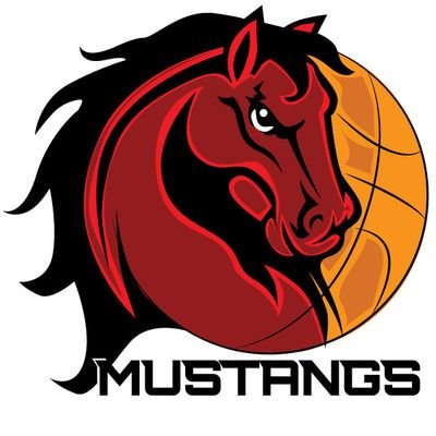Joining @theUFBA_ after the inaugural draft Sept. 2021, we are here to play professional #FantasyBasketball
Glad to be part of the @UFFSports and #ZilFam $SCO