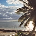 Kelsey Oswald - @spacecase913 - Twitter