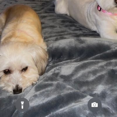 JackBacks1215's profile picture. Just trying to find my way through this thing we call life.