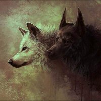 Thomas Burkett - @WolvesForest924 Twitter Profile Photo