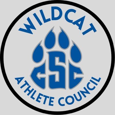 Culver-Stockton College Wildcat Athlete Council ⚽️🏐🏀🏈⚾️🥎🥍⛳️ Follow for updates on our Wildcat sports teams, theme nights, and more!