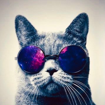 breakbeats27's profile picture. 酒将