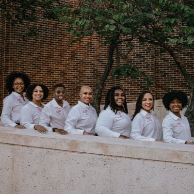 The KAptivating Kappa Alpha Chapter of Delta Sigma Theta was chartered on the campus of the University of Oklahoma on 04/15/1973. Follow us on IG @KAdeltas! ❤️