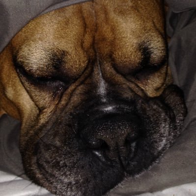 KevinSkelly1155's profile picture. Sports&politics. Don’t celebrate victimhood nor being soft.  Grow up + suck it up.  You can play hurt, you can’t play injured.  Look good, feel good, play good.