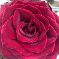 ❤️ (@yr92n2) 's Twitter Profile