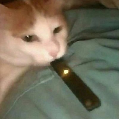 EclipticTunes's profile picture. He/Him 21