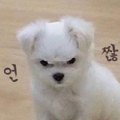 누피さんのプロフィール画像