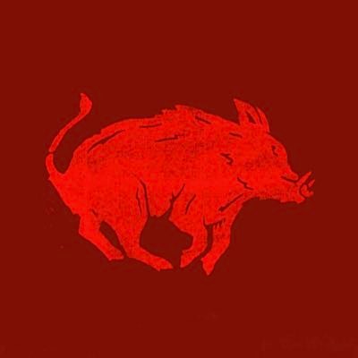 RachoMZCL's profile picture. SOL TO THE SUN