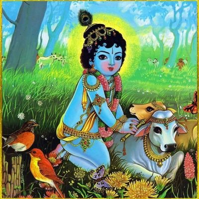 VaidMahima's profile picture. 