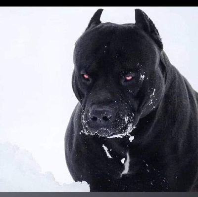 do_rodo12's profile picture. 