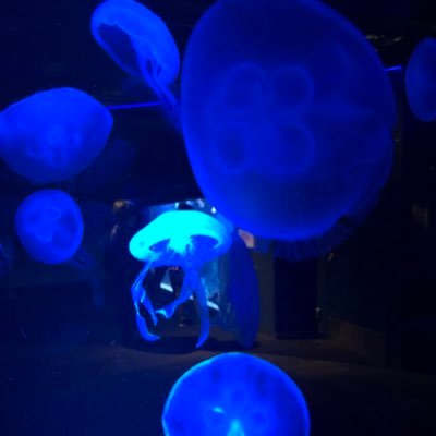 M_inaaa_'s profile picture. 20↑