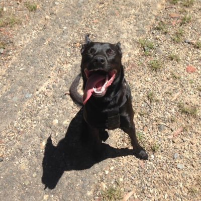 validationques1's profile picture. 