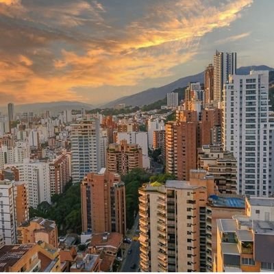 Yiyo44644927's profile picture. 