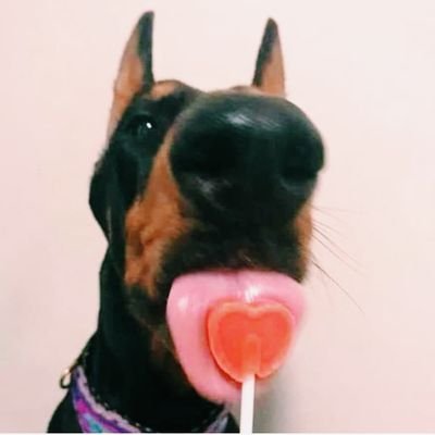 BrunnaSerafina's profile picture. I'm not my thoughts, my twitter is.