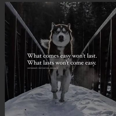 SavitaM65444380's profile picture. cute sis
bts lover