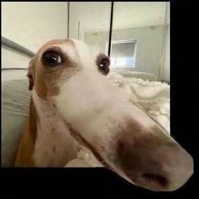 yeanothinghere's profile picture. vibin