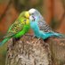bs balaji (@bsbalaj34472634) Twitter profile photo bs balaji (@bsbalaj34472634) Twitter profile photo