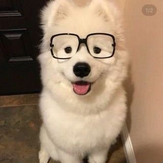 phruettiphan's profile picture. 