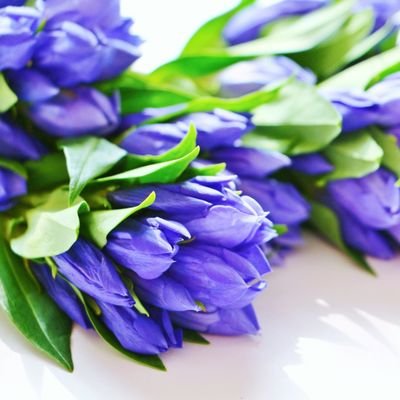 pochi_orca's profile picture. 芋虫毛虫以外の動物は結構何でも好き。
自分では飼えないので、見るのが楽しいです。編み物も大好きです。
無言フォローすみません。
「いいな」と思ったツイートにはいいねさせていただきます(•‿•)
日常ツイ多めかも。自衛お願いいたします。