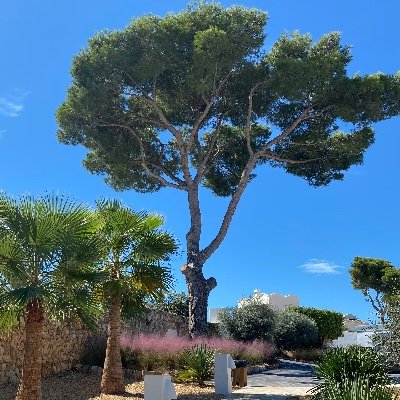 Straightforward, loves good wines and food, F1, cycling, fitness. Loves to be in Spain and Italy, investor, broadminded and very direct, helpful and generous.