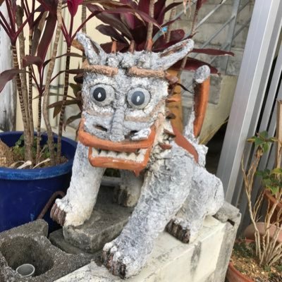 me44me61's profile picture. 詩歌をつくっています。前期高齢者にそろそろなります。
映画やドラマを見てダラダラ過ごしています。もう少しがんばりたい。
現代俳句協会会員　岩手詩人クラブ会員。「小熊座」に投句しています。
やませみ文庫：https://t.co/IerpeEWOHr