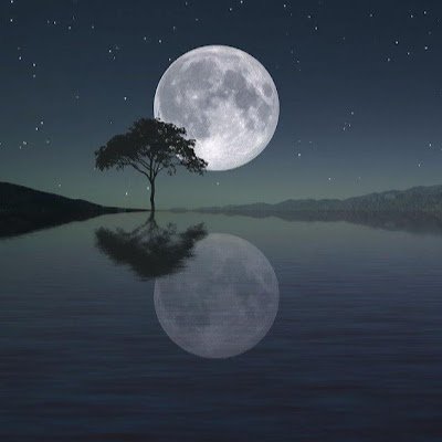 5j5UIGz4C9Kclvz's profile picture. 