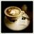 queconovell's profile image