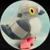 Popmaster Pigeon (@PopmasterPigeon) Twitter profile photo