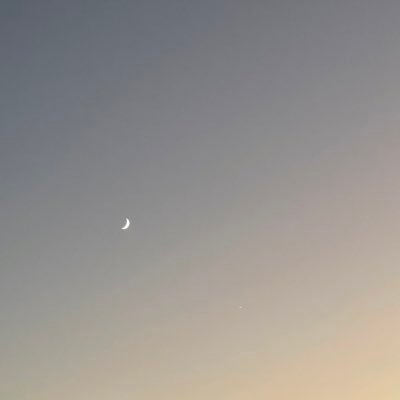 iywn3's profile picture. 非常に健全な裏垢