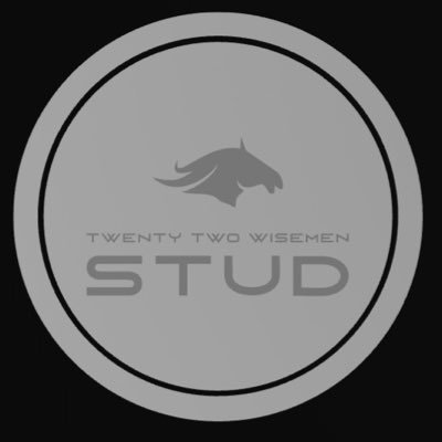 Twenty Two Wisemen Stud