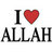 IslamIndo's profile image