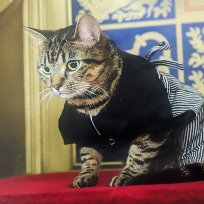 cute_bays's profile picture. 母の件につきましては進展があり次第、ご報告します🙇