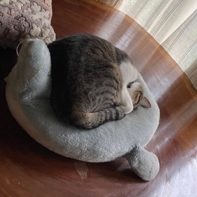 aru_lito's profile picture. 