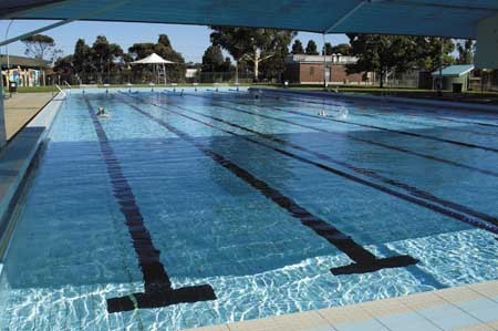 swimming_pooled's profile picture. 