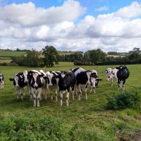 Chatcull Farm (@chatcullfarm) 's Twitter Profile