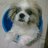 Armiq10's profile image