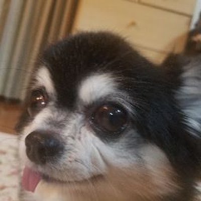 連ザからエクバシリーズずっとやってて今は15年ぶりぐらいに格ゲー初めてDNFデュエルにお熱
ドラゴンナイトコンボだけ全1おじさん(自称)