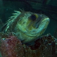 Matthew Saltzman (@saltzmanmj) 's Twitter Profile Photo