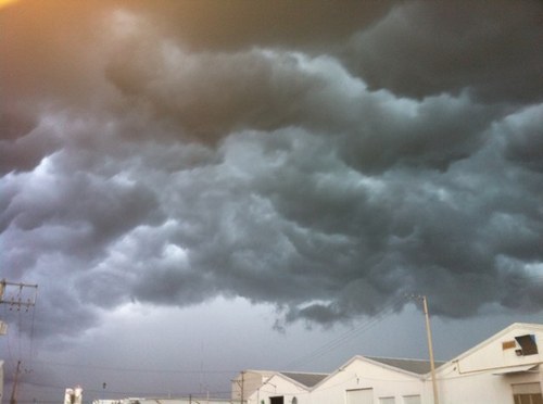 jerrypares's profile picture. vengo de donde todos somos iguales, de los mosquitos y el pantanal, de donde el agua nunca se acaba....