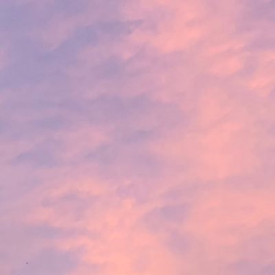 bachhtooo3's profile picture. 