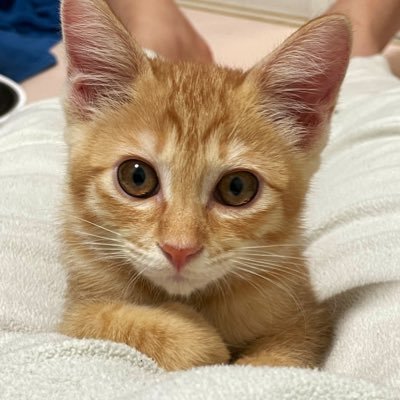 take_tabinchu's profile picture. 兼業トレーダー