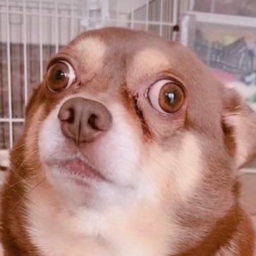 taicho4kc1's profile picture. かけがえのないもの守るのって結局はお金だと思うんだ。 バイナリーほぼ初心者みたいな感じ。 ノートに手法載せてます。勝ちたかったら見るべき