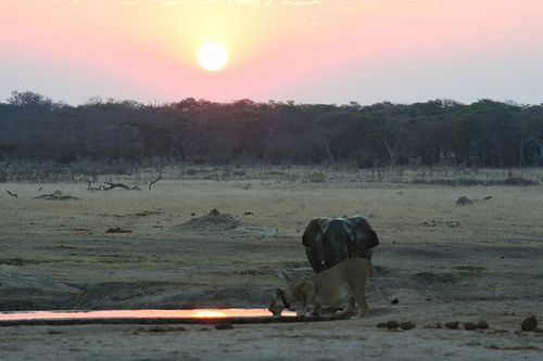 rickb1979's profile picture. Waiting for The Arsenal to win the CL and for Sergio or Poults to pick up a major whilst working in Oil and Gas in Calgary Views my own.