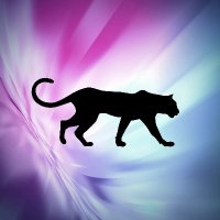 The Puma (@the_crypto_puma) 's Twitter Profile
