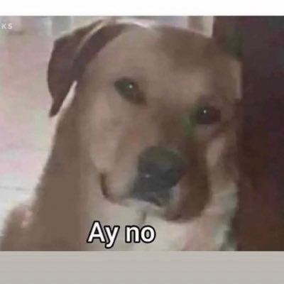 zerobanzer's profile picture. 