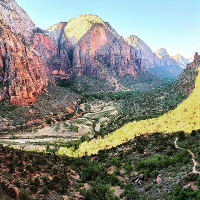 JD11355829's profile picture. #physed teacher - NY