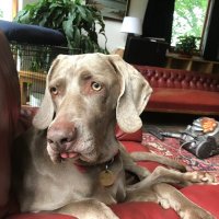 Mary Mary 🌻🦔👵🏻👜🐔🐄🐂🪴☕️ (@livalab) 's Twitter Profile Photo Mary Mary 🌻🦔👵🏻👜🐔🐄🐂🪴☕️ (@livalab) 's Twitter Profile Photo