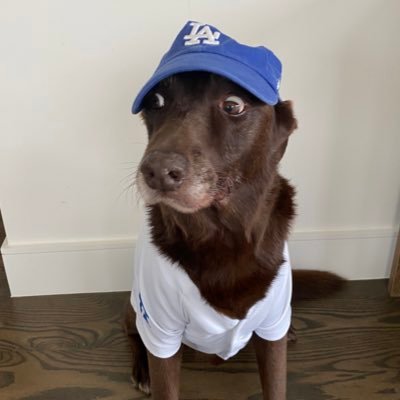 Dad. Chief of Staff, team @Schwarzenegger. Co-founder and customer service representative, The Pump. Baseball: Dodgers. .