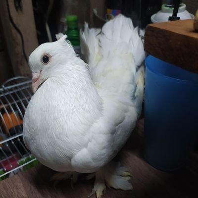 PaulAnthonyArr1's profile picture. 