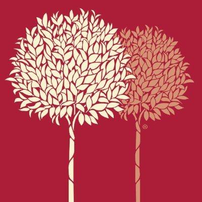An independent and multi-award winning estate agent with local welcoming offices selling and letting homes in North Somerset, the Chew Valley and the Mendips.